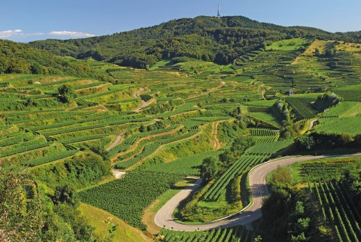 © travelpeter-shutterstock.com/2013