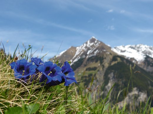 © by paul  - fotolia.com