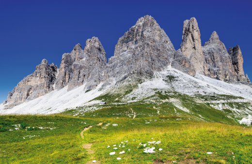 © Emi Cristea-fotolia.com