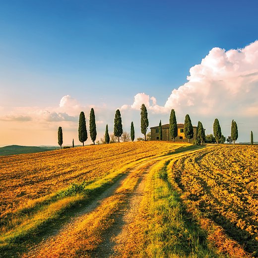 © stevanzz-fotolia.com