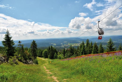 © sonne_fleckl-fotolia.com