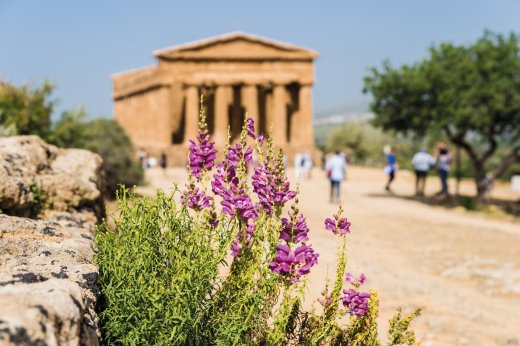© majonit - stock.adobe.com